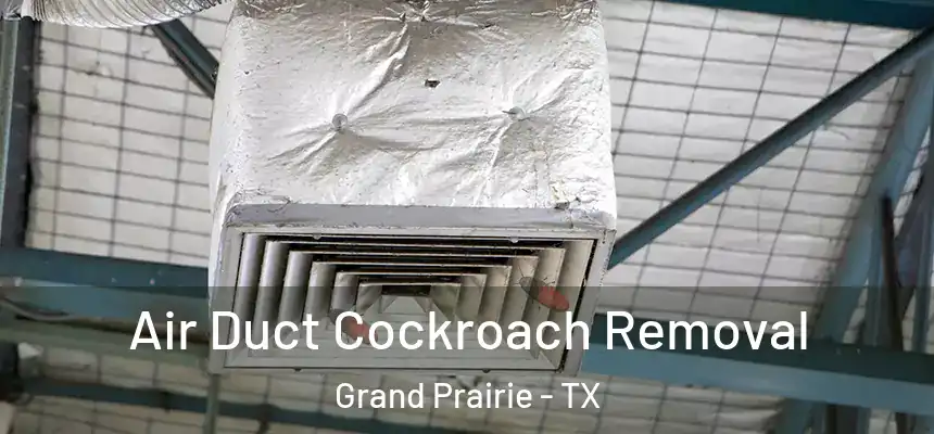  Air Duct Cockroach Removal Grand Prairie - TX