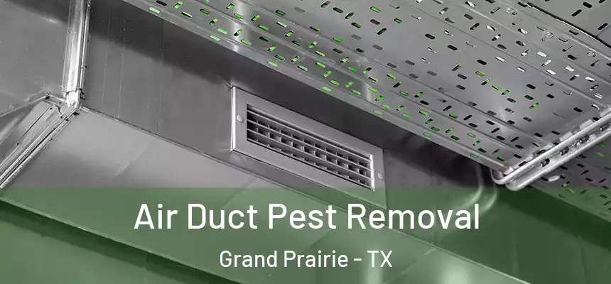  Air Duct Pest Removal Grand Prairie - TX