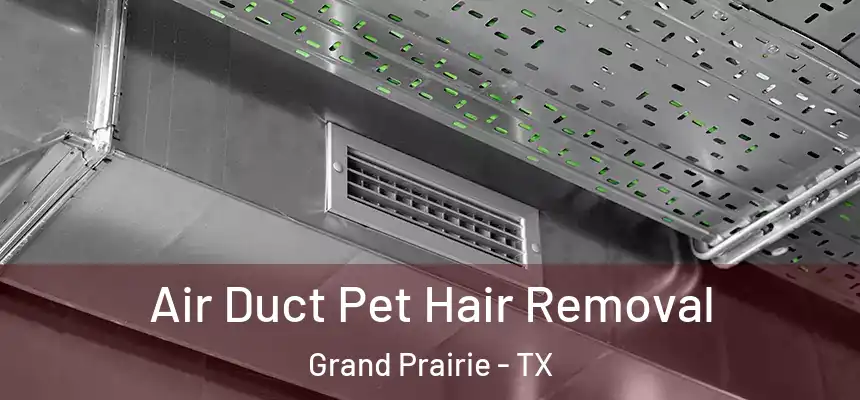  Air Duct Pet Hair Removal Grand Prairie - TX