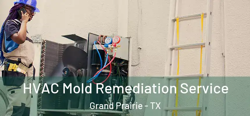 HVAC Mold Remediation Service Grand Prairie - TX
