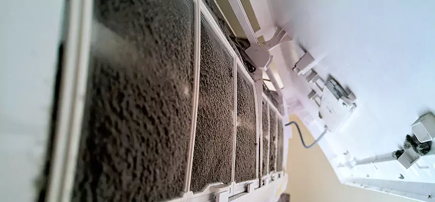 Preventive Air Duct Bacteria Removal in Grand Prairie