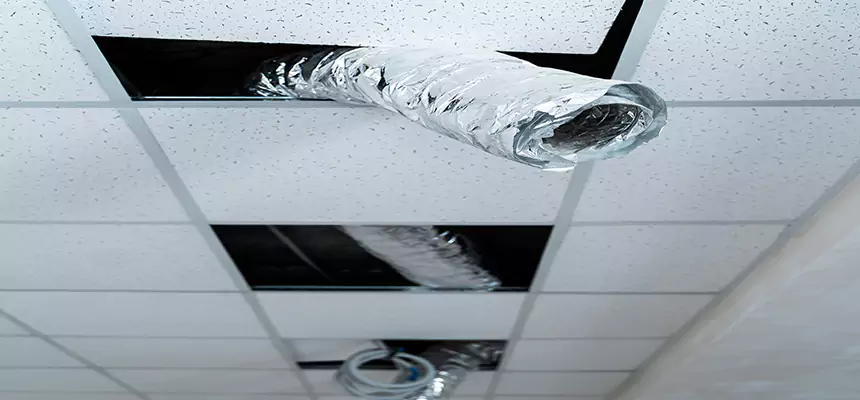 Our Air Duct Pet Hair Removal Services in Grand Prairie, TX