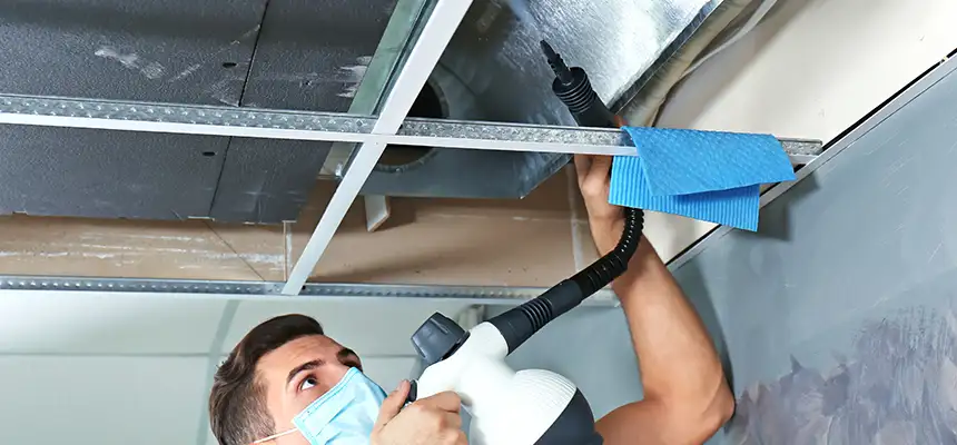 Our Air Duct Rodent Removal Services in Grand Prairie, TX