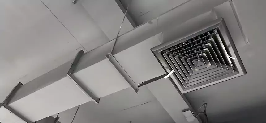 Our Rodent Droppings In Vents Services in Grand Prairie, TX