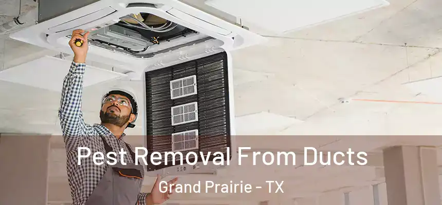  Pest Removal From Ducts Grand Prairie - TX