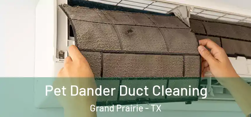  Pet Dander Duct Cleaning Grand Prairie - TX
