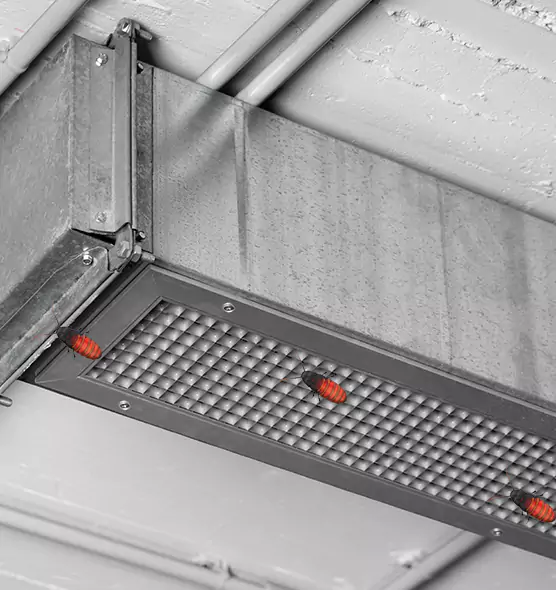 Affordable Insect Removal from Air Ducts in Grand Prairie, TX