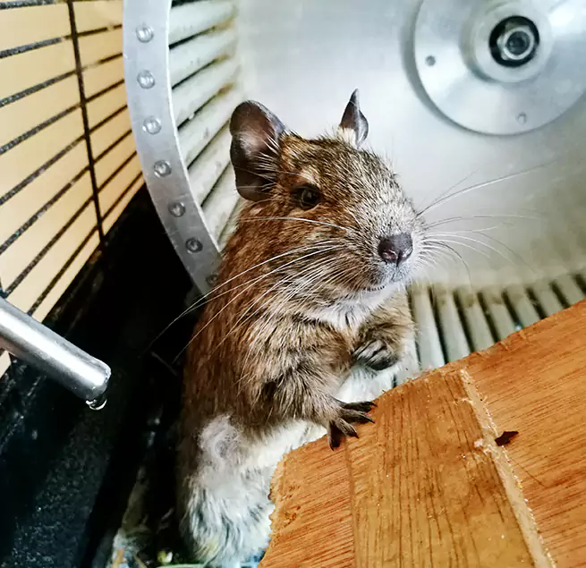 Why Homeowners & Businesses Trust Us Grand Prairie, TX