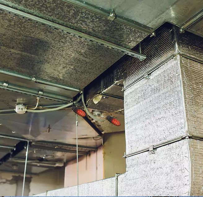 Why Homeowners & Businesses Trust Us Grand Prairie, TX?